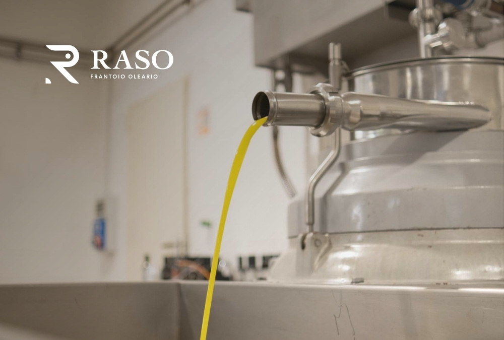 Dal Frantoio alla Bottiglia l’Olio di Frantoio Raso