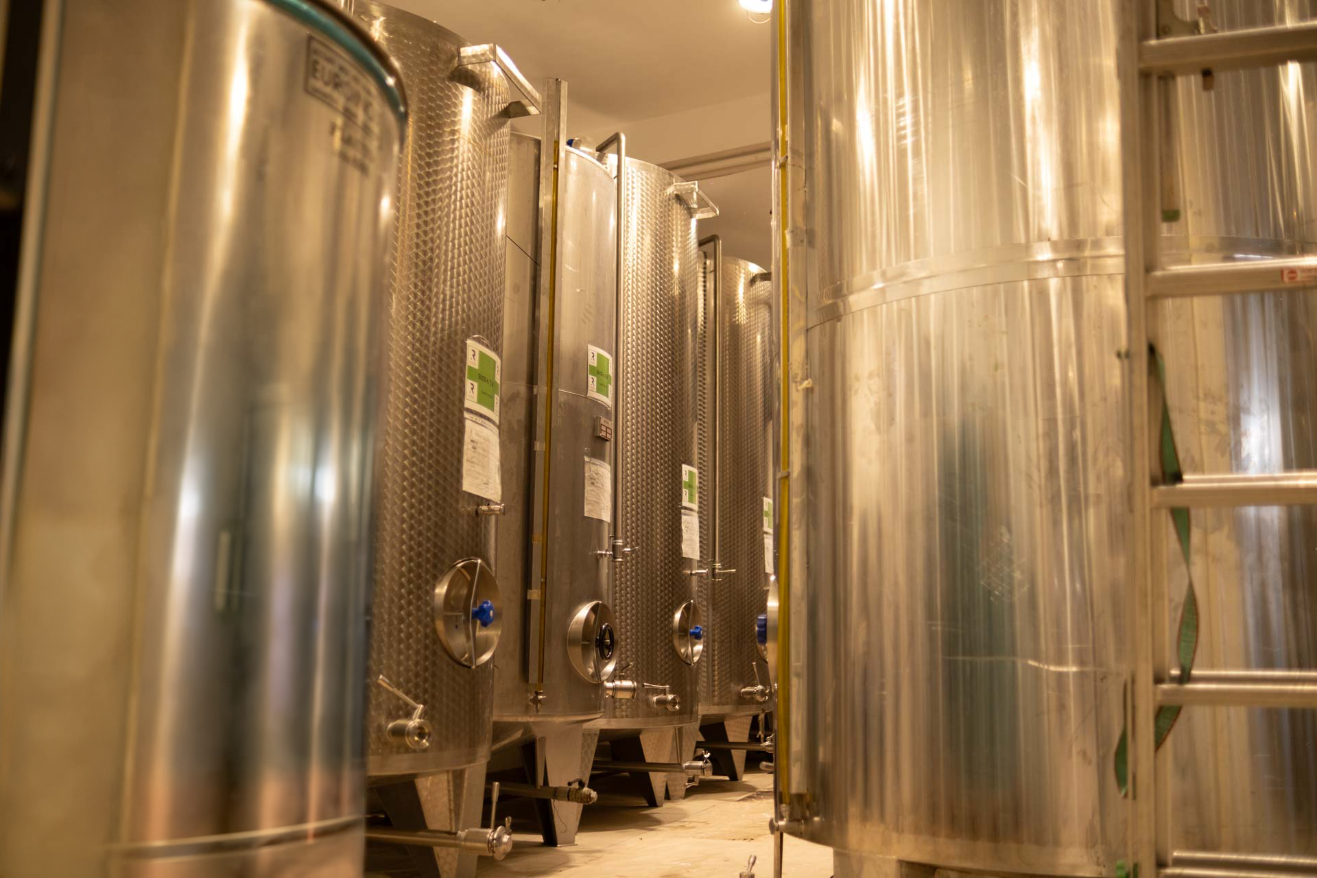 Frantoio Raso Conservazione olio-1